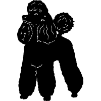 (image for) Poodle 10 =