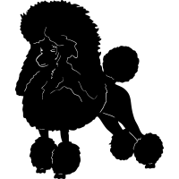 (image for) Poodle 2 =