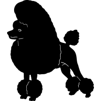 (image for) Poodle 3 =