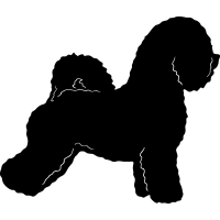 (image for) Poodle 4 =
