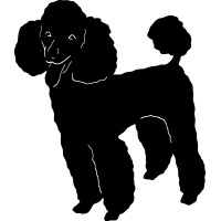 (image for) Poodle =