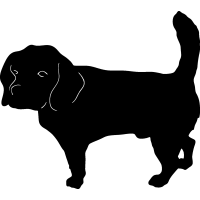 (image for) Beagle =