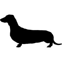 (image for) Dachshund _