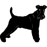 (image for) Wire Fox Terrier =