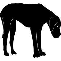 (image for) Great Dane 2 =