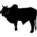 (image for) Cattle 10 =