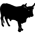 (image for) Cattle 11 =