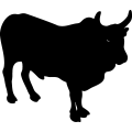 (image for) Cattle 20 =