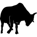 (image for) Cattle 29 =