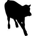 (image for) Cattle 30 =