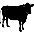 (image for) Cattle 9 =