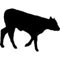 (image for) Cow 100 _