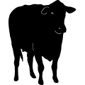(image for) Cow 10 =