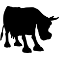 (image for) Cow 10a _