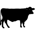 (image for) Cow 12 =