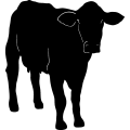 (image for) Cow 13 =