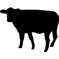 (image for) Cow 18 _