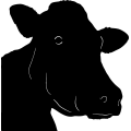 (image for) Cow 22 =