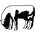 (image for) Cow 2 =