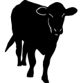 (image for) Cow 32 =