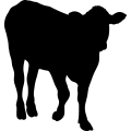 (image for) Cow 47 _