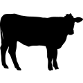 (image for) Cow 49 =