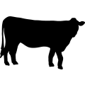 (image for) Cow 4 =