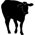 (image for) Cow 50 =