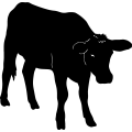 (image for) Cow 52 =