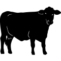 (image for) Cow 56 =