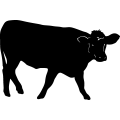 (image for) Cow 59 =