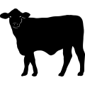 (image for) Cow 5 =