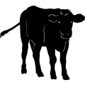 (image for) Cow 68 =