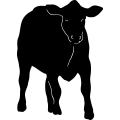 (image for) Cow 6 =