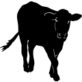 (image for) Cow 7 =