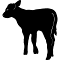 (image for) Cow 84 =