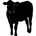 (image for) Cow 8 =