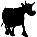 (image for) Cow 8a =