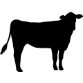 (image for) Cow 93 _