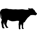 (image for) Cow 96 =