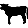 (image for) Cow 98 _