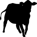 (image for) Cow 9 =