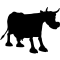 (image for) Cow 9a _