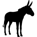(image for) Donkey 10 _