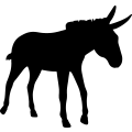(image for) Donkey 17 _