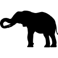 (image for) Elephant 10 =