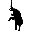 (image for) Elephant 12 _