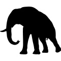 (image for) Elephant 13 _