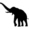 (image for) Elephant 14 _