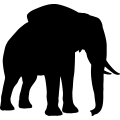 (image for) Elephant 18 _